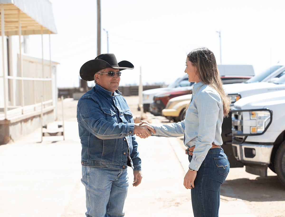 handshake