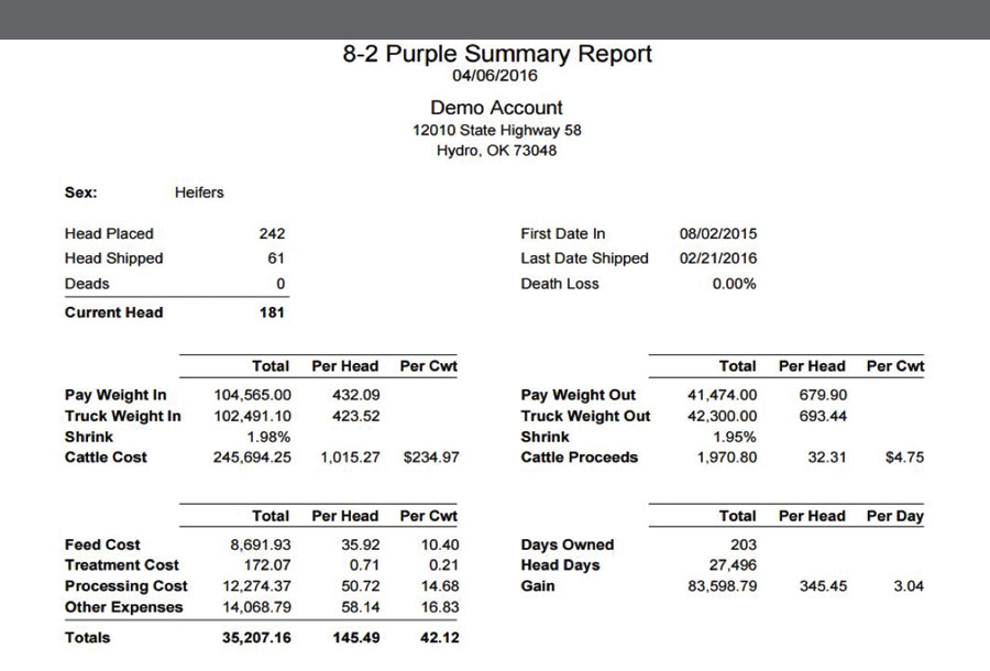 Stocker1-ReportSummary